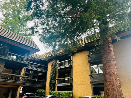 Naturopath Lafayette CA Office Courtyard